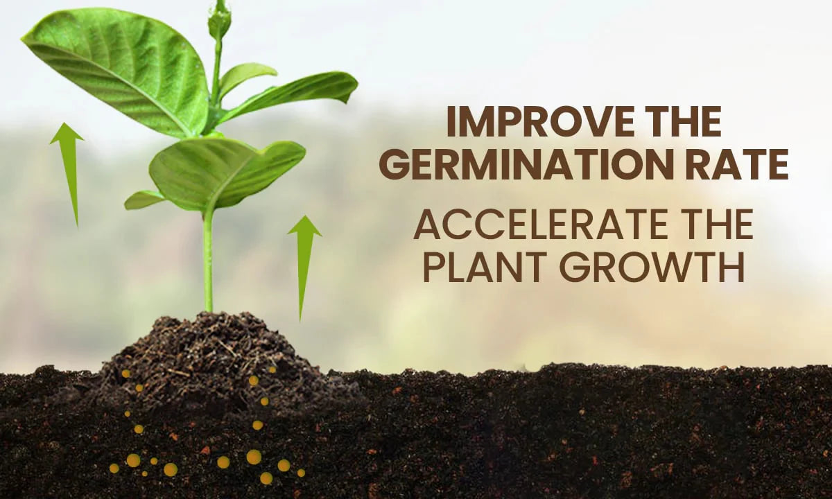 Soil Activator: Plants' Best Friend - Rejuvenate Your Plants ( BUY 1 GET 1 FREE )